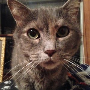 Meet your Posher, Debra